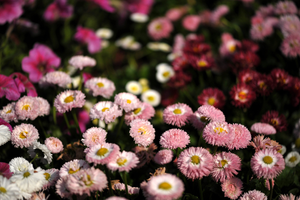 100512 m6 DSC_9590.jpg